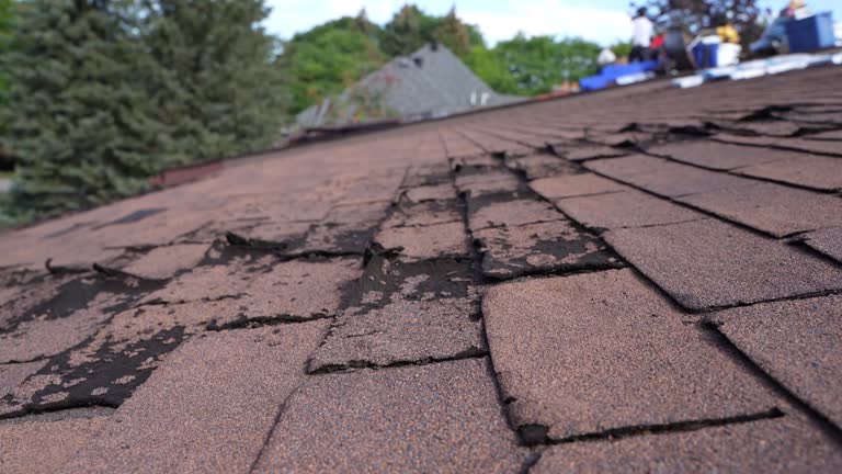 Best Roof Leak Repair  in Bluffton, OH